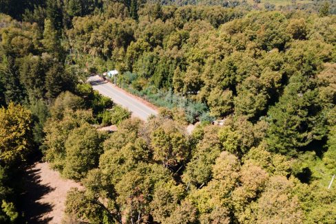 WhatsApp Image 2025-07-14 at 10.20.59 AM (3)