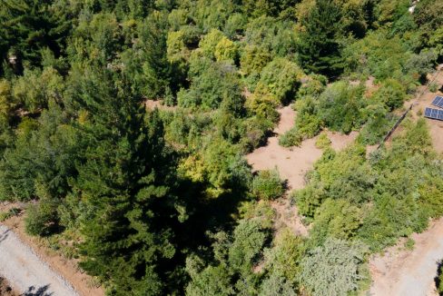 WhatsApp Image 2025-07-14 at 10.20.59 AM (4)