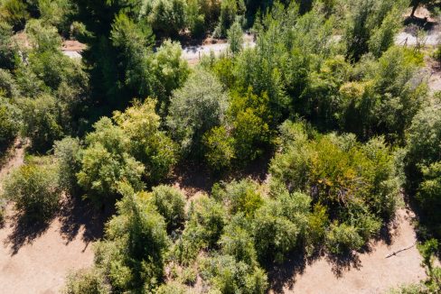 WhatsApp Image 2025-07-14 at 10.20.59 AM