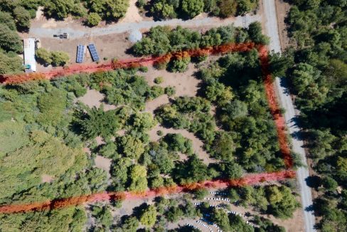 WhatsApp Image 2025-07-14 at 10.21.00 AM (1)