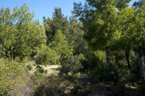 WhatsApp Image 2025-07-14 at 10.21.00 AM (2)