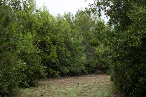 WhatsApp Image 2025-07-14 at 10.21.00 AM (3)