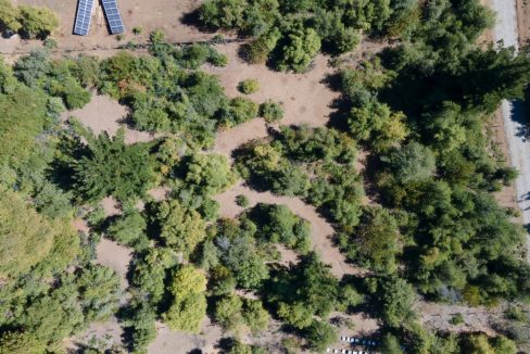 WhatsApp Image 2025-07-14 at 10.21.00 AM